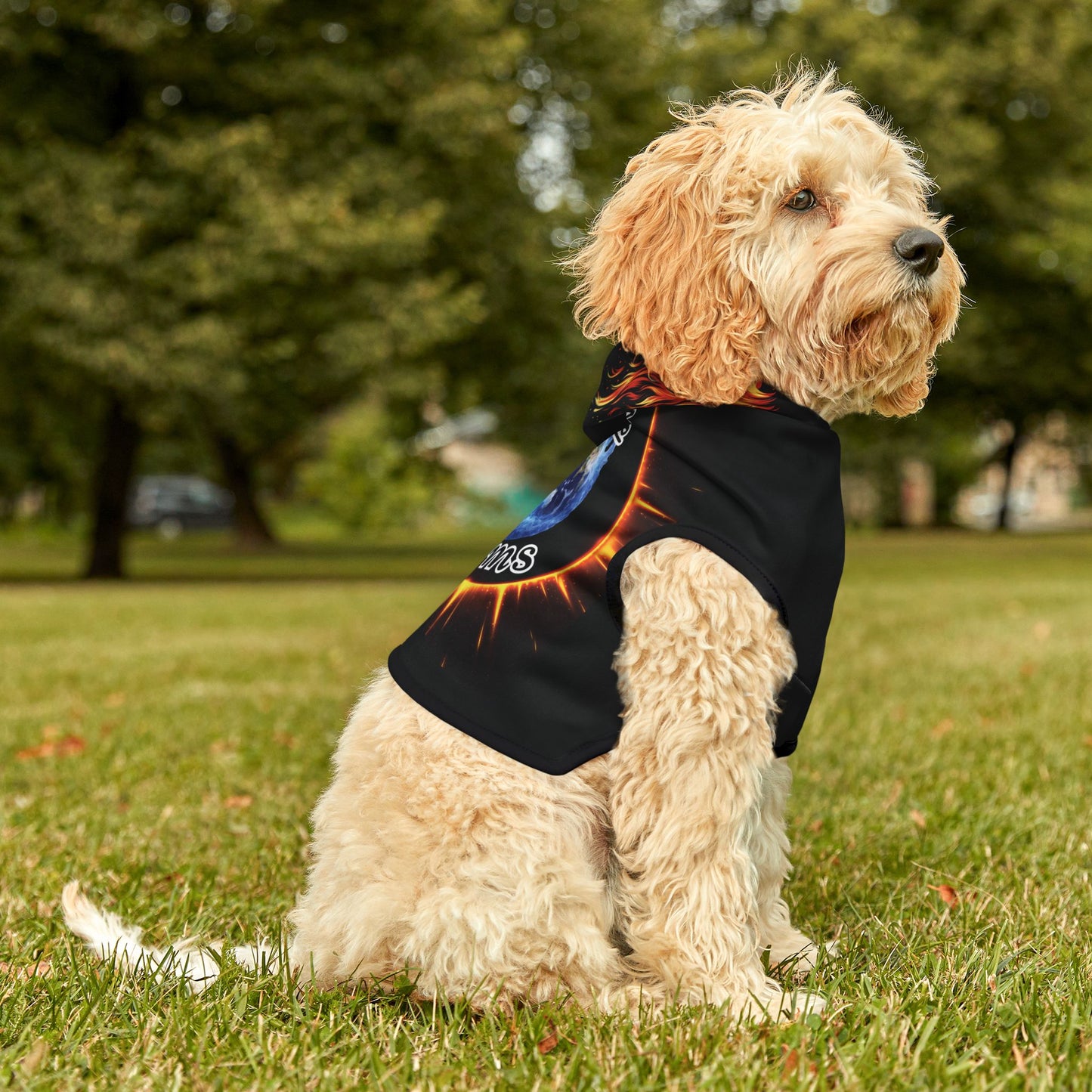 "Stone Customs" Logo Pet Hoodie