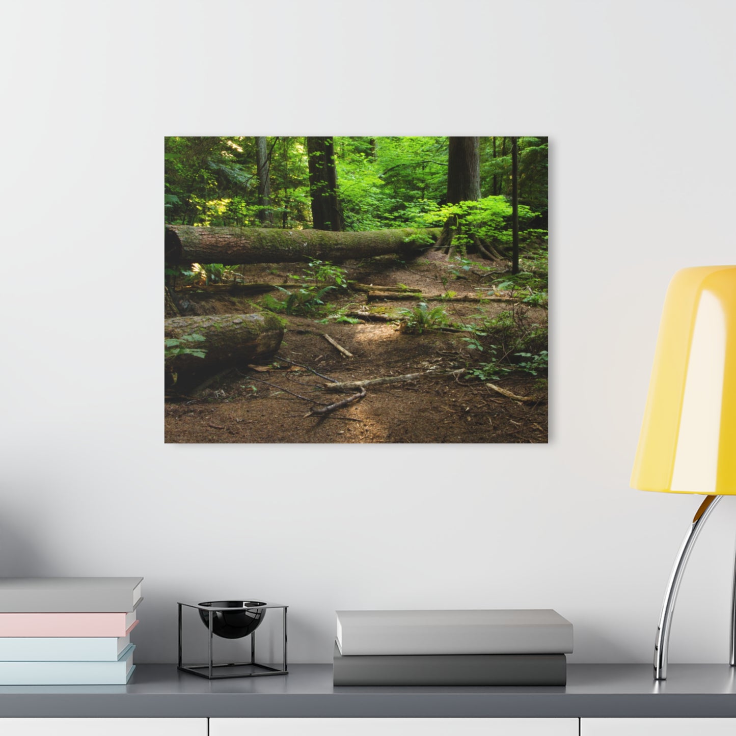 “Fallen Tree” Acrylic Prints (French Cleat Hanging)