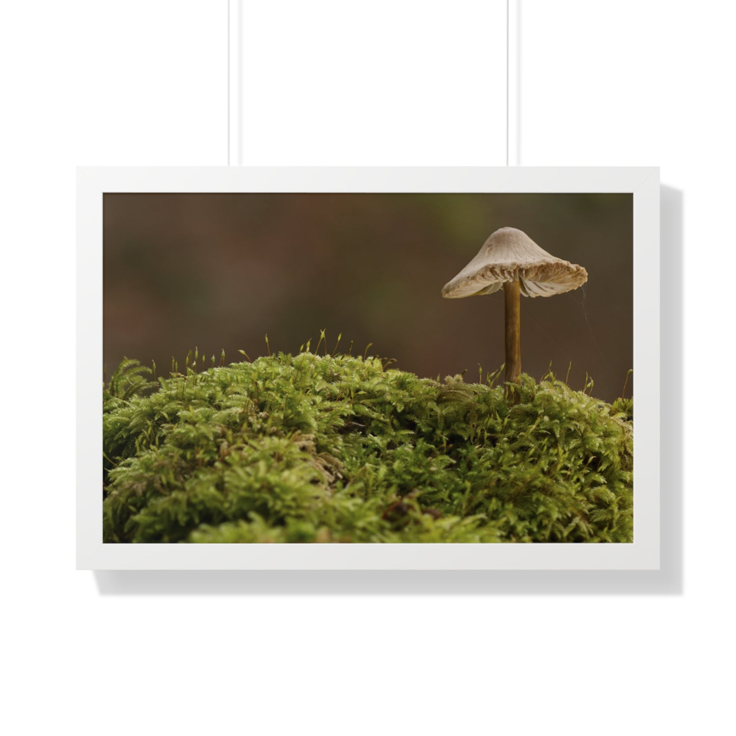 "Mushroom on Mossy Mound" Framed Horizontal Poster