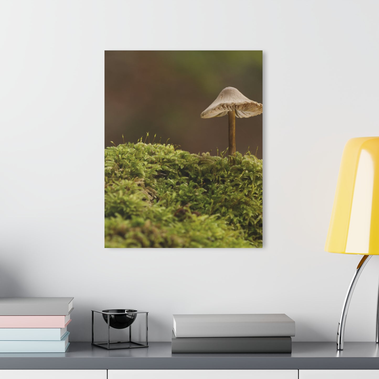 “Mushroom On Mossy Mound” Acrylic Prints (French Cleat Hanging)