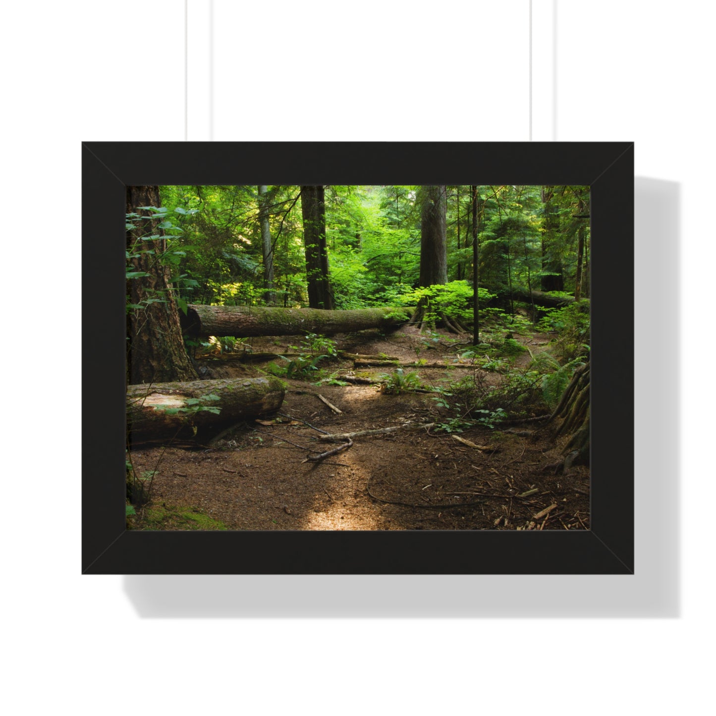 "Fallen Tree" Framed Horizontal Poster