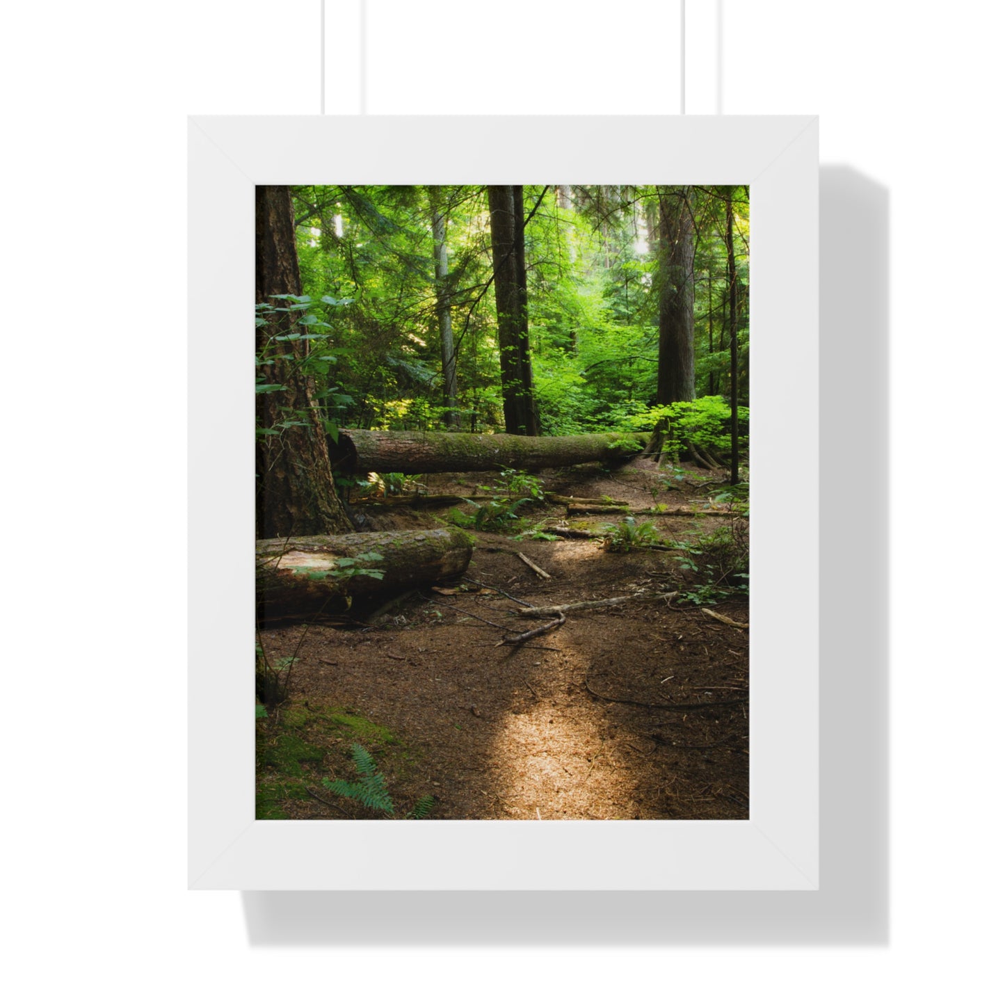 "Fallen Tree" Framed Vertical Poster