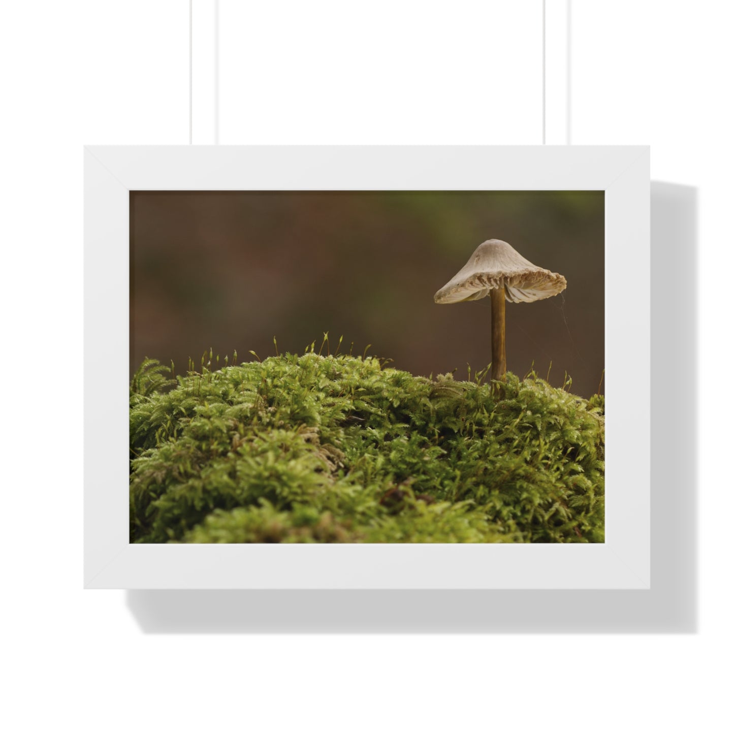 "Mushroom on Mossy Mound" Framed Horizontal Poster