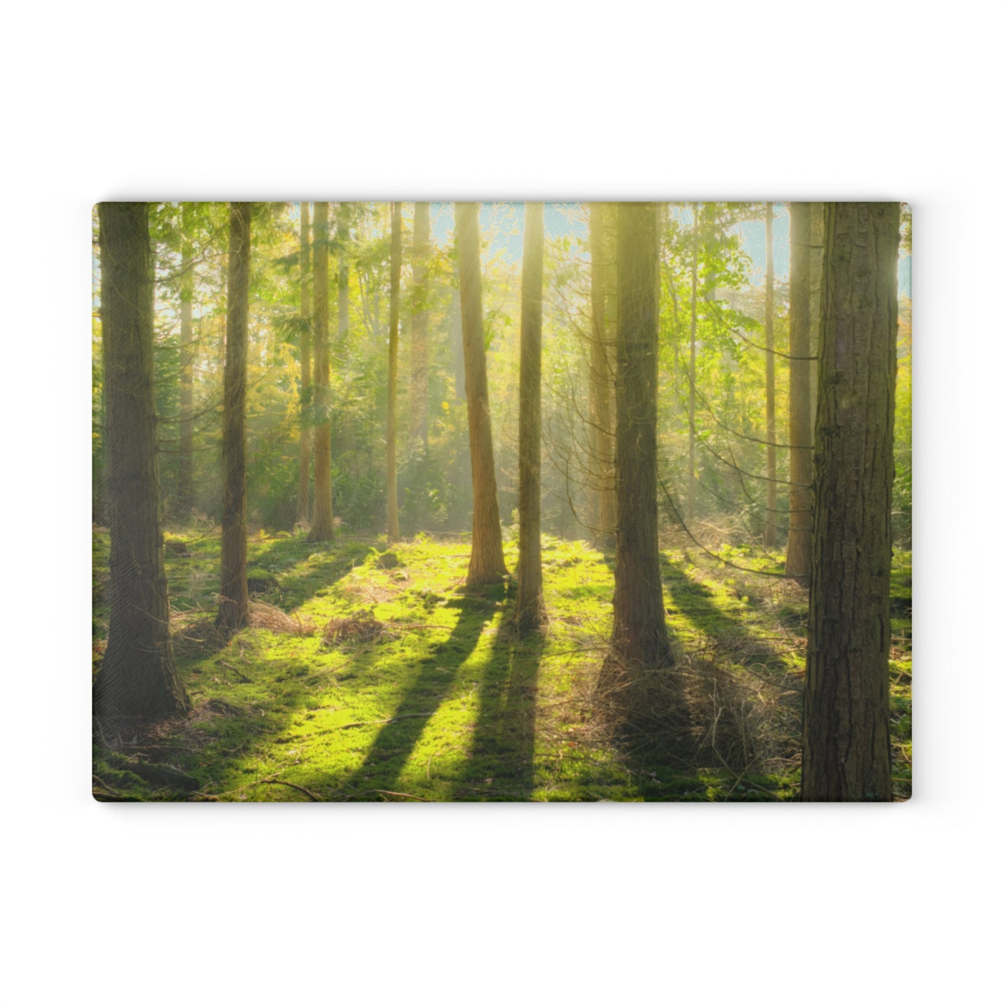 "Mossy Woodland" Glass Cutting Board