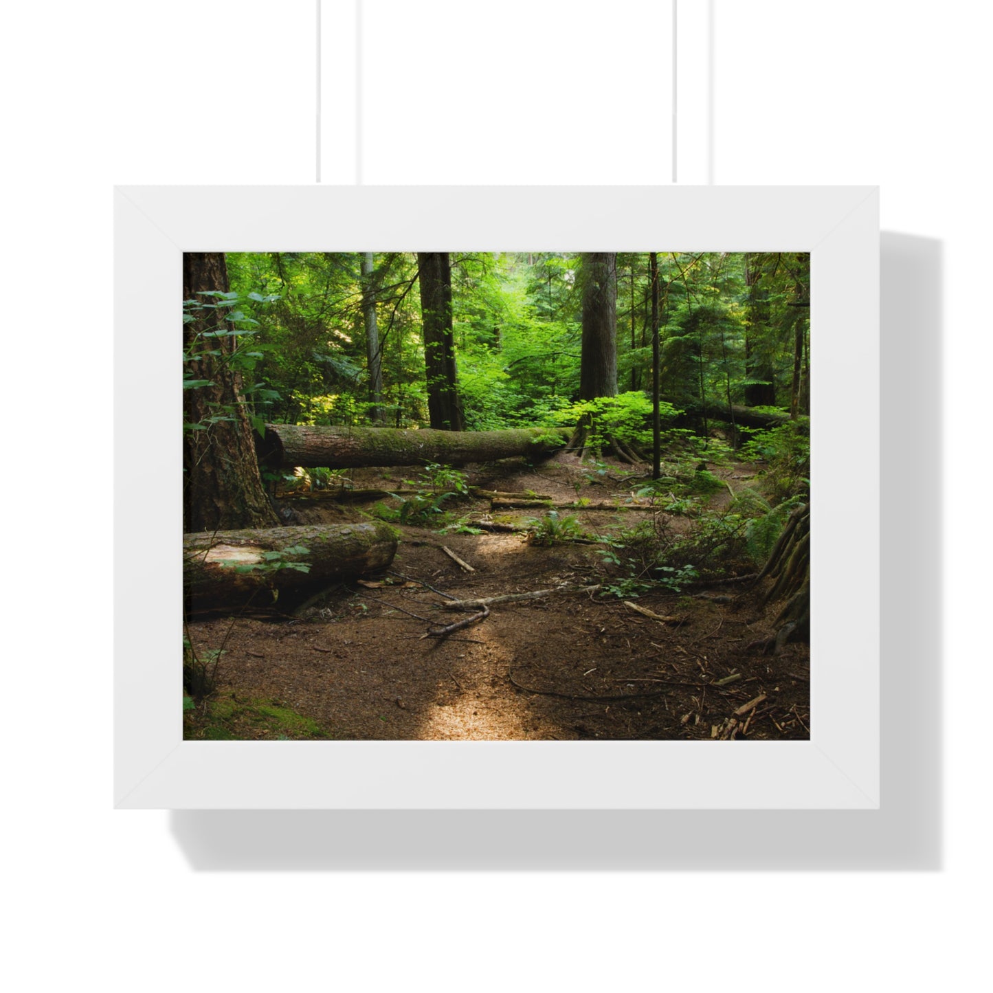 "Fallen Tree" Framed Horizontal Poster