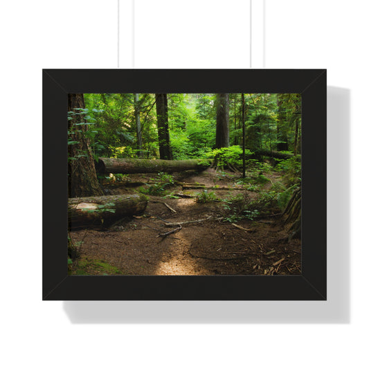 "Fallen Tree" Framed Horizontal Poster