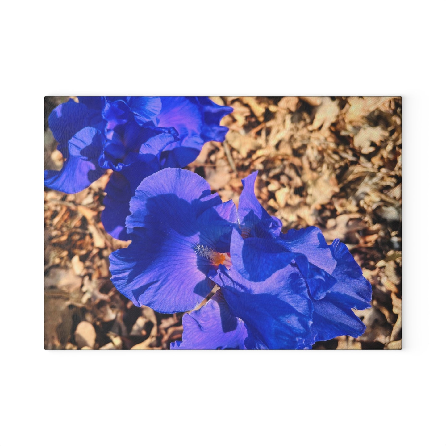 "Blue Flowers" Glass Cutting Board