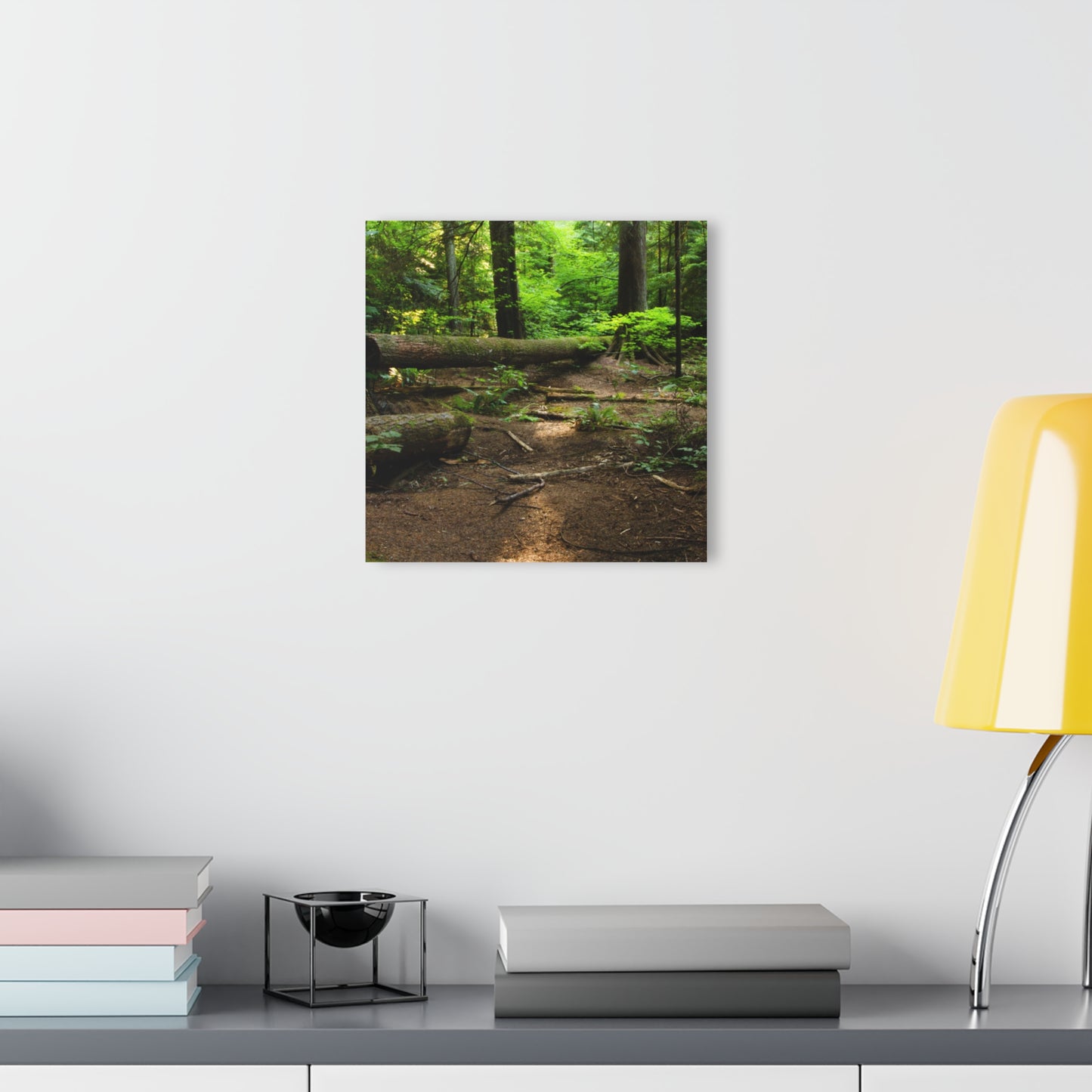 “Fallen Tree” Acrylic Prints (French Cleat Hanging)