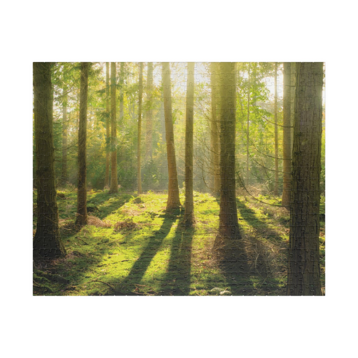 Horizontal "Mossy Woodland" Puzzle (110, 252, 520, 1014-piece)