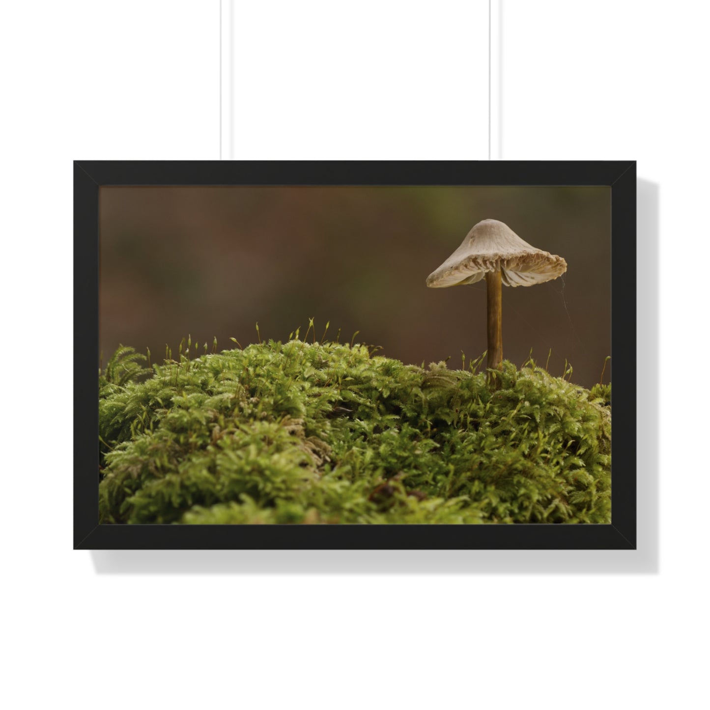 "Mushroom on Mossy Mound" Framed Horizontal Poster