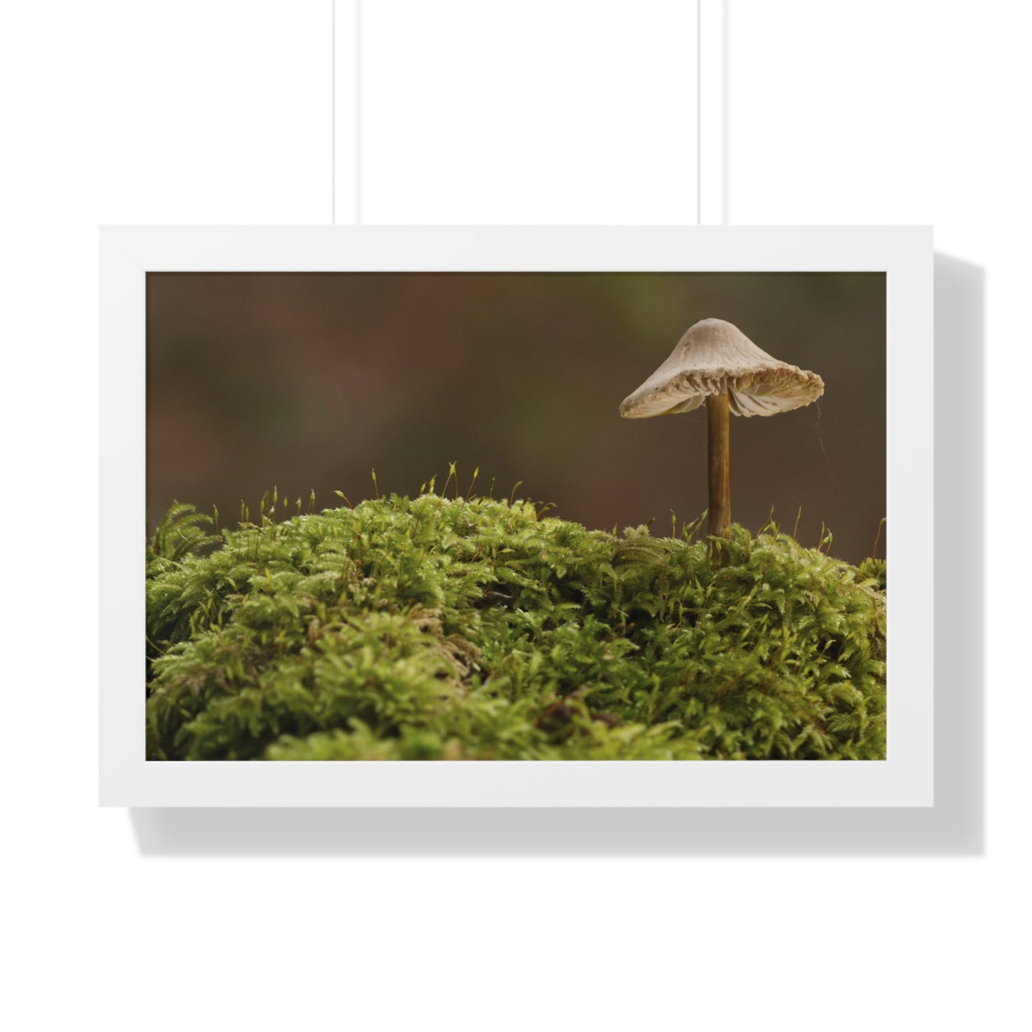 "Mushroom on Mossy Mound" Framed Horizontal Poster