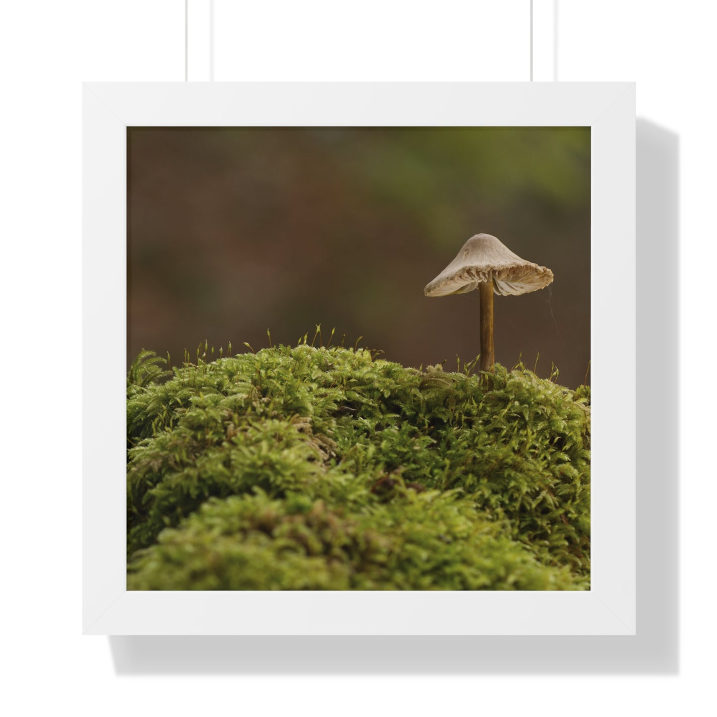 "Mushroom on Mossy Mound" Framed Horizontal Poster