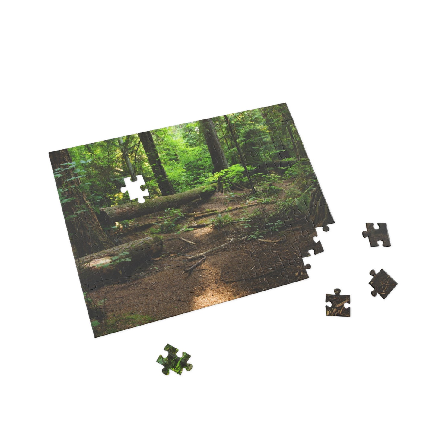 "Fallen Tree" Puzzle (96, 252, 500, 1000-Piece)