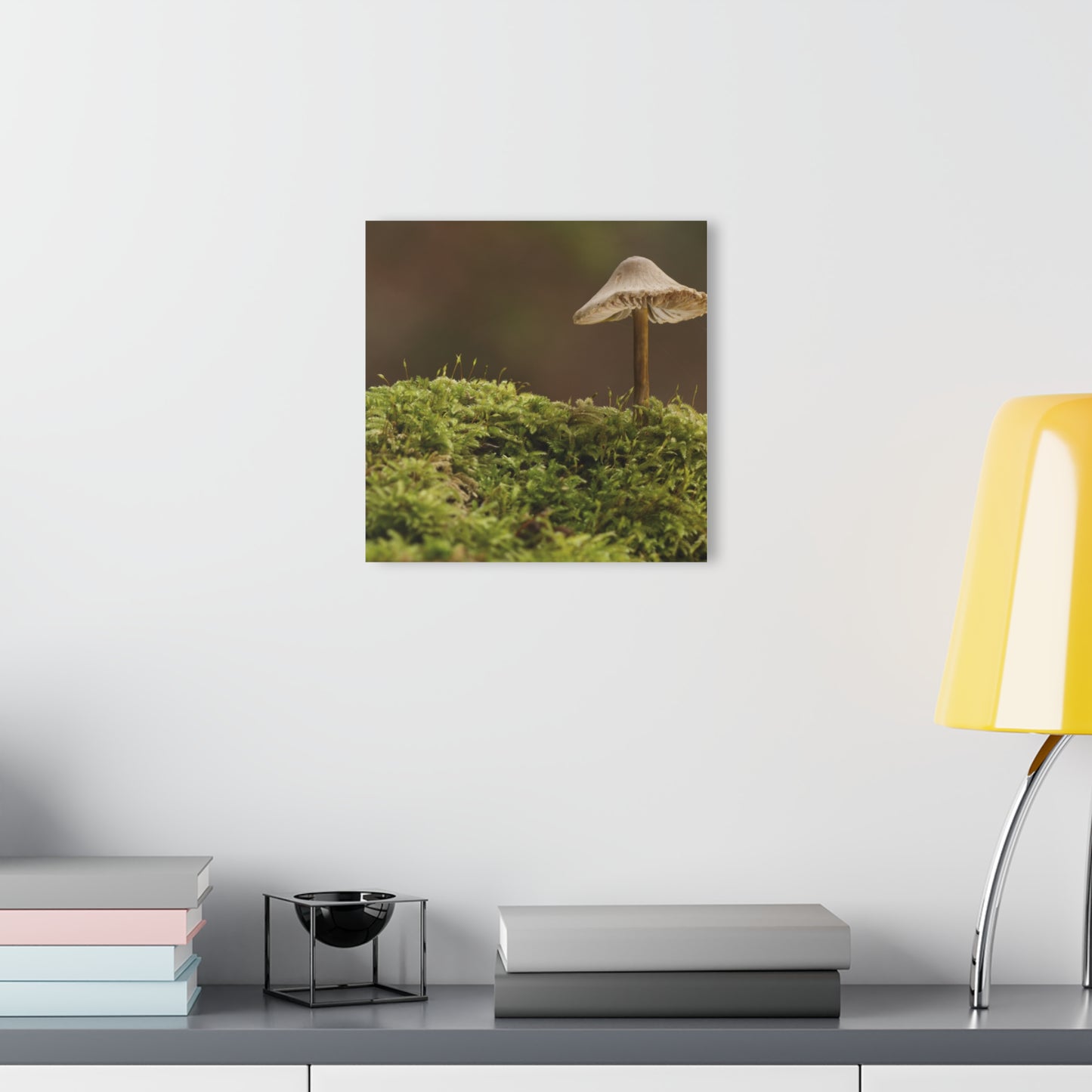 “Mushroom On Mossy Mound” Acrylic Prints (French Cleat Hanging)