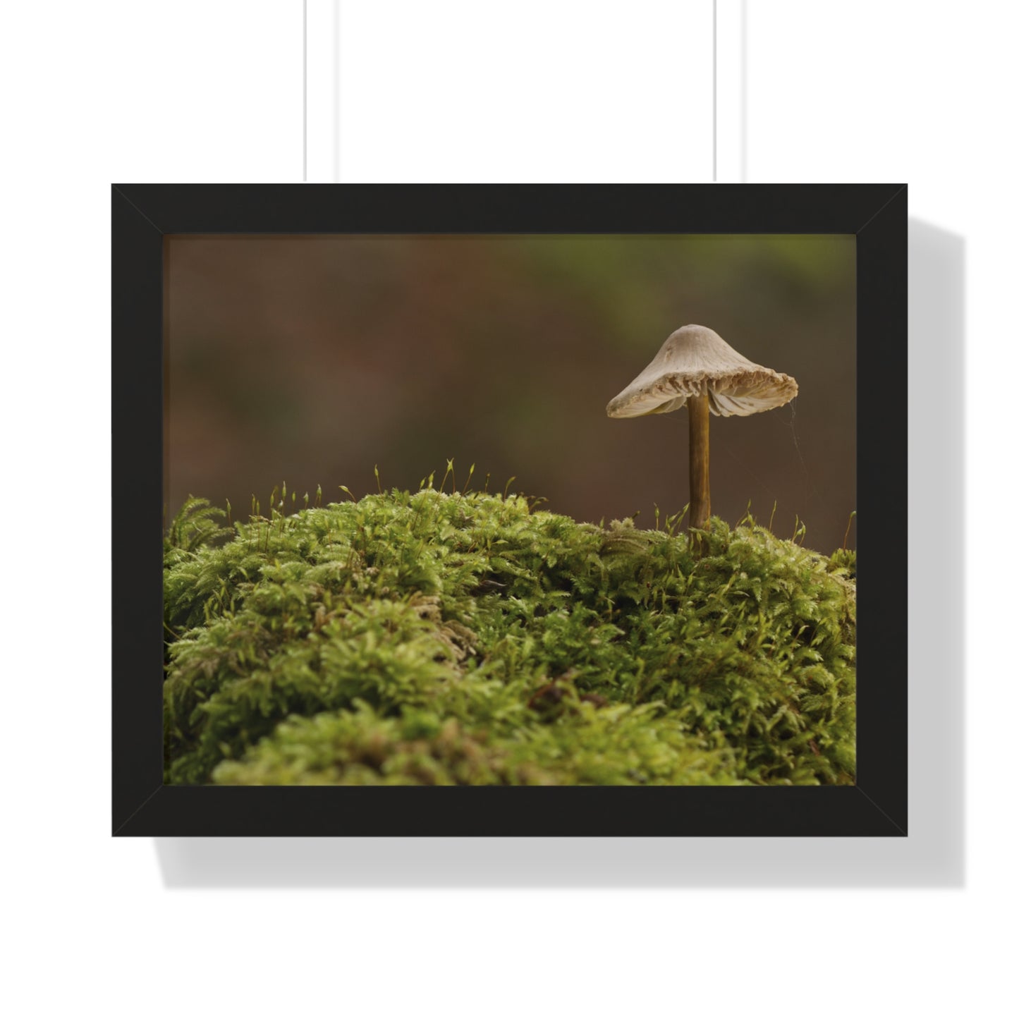 "Mushroom on Mossy Mound" Framed Horizontal Poster