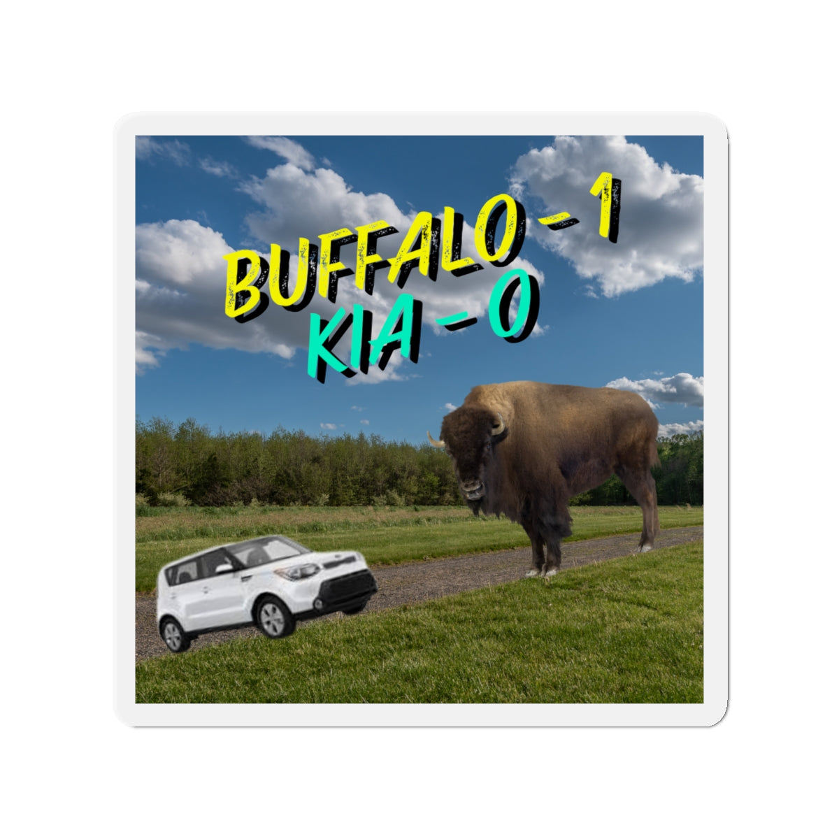 "Buffalo vs Kia" Die-Cut Magnets