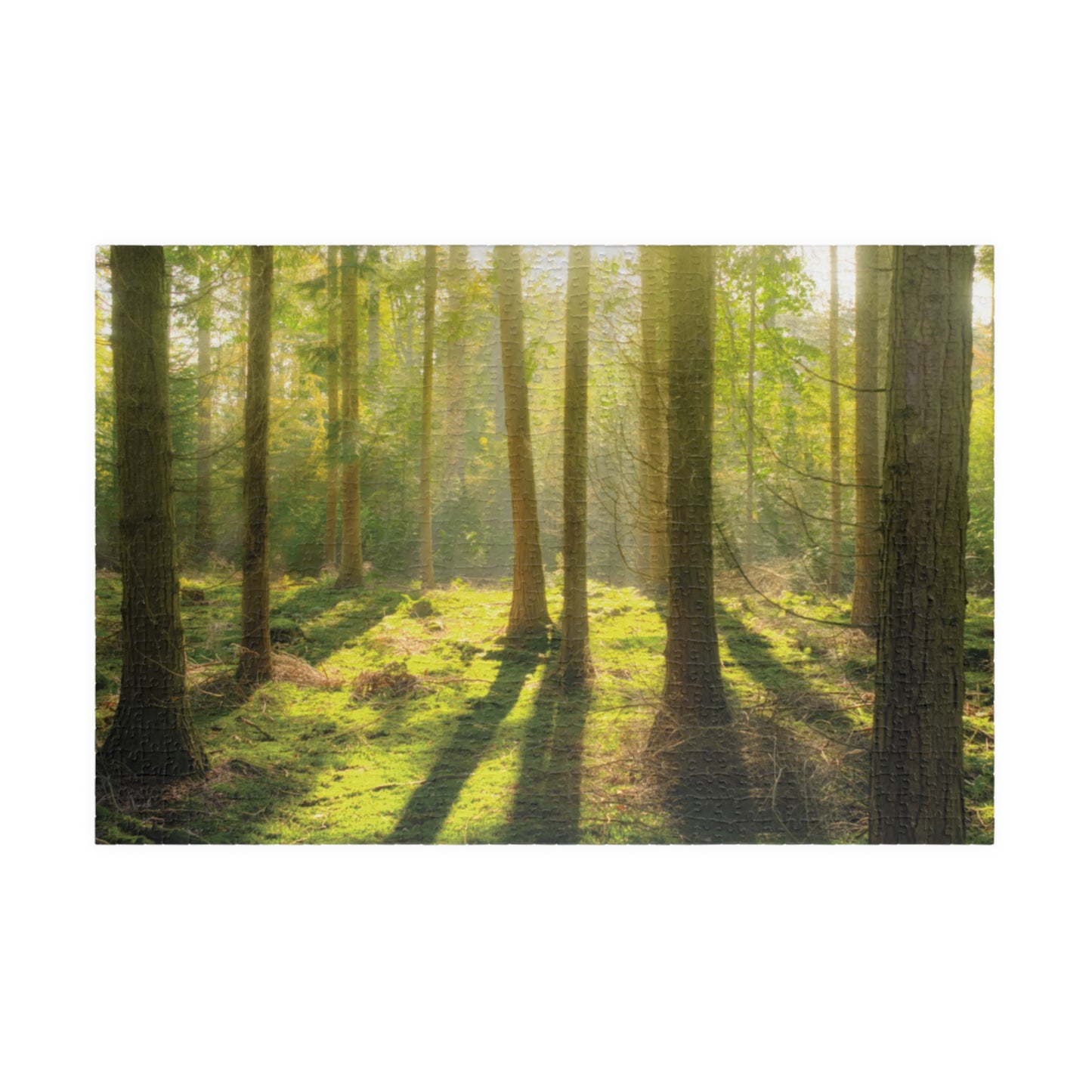 Horizontal "Mossy Woodland" Puzzle (110, 252, 520, 1014-piece)