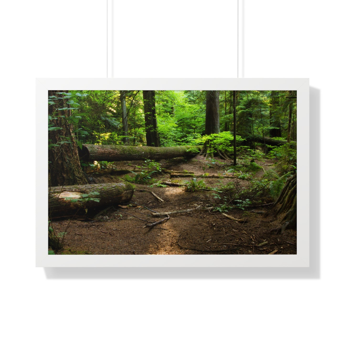 "Fallen Tree" Framed Horizontal Poster