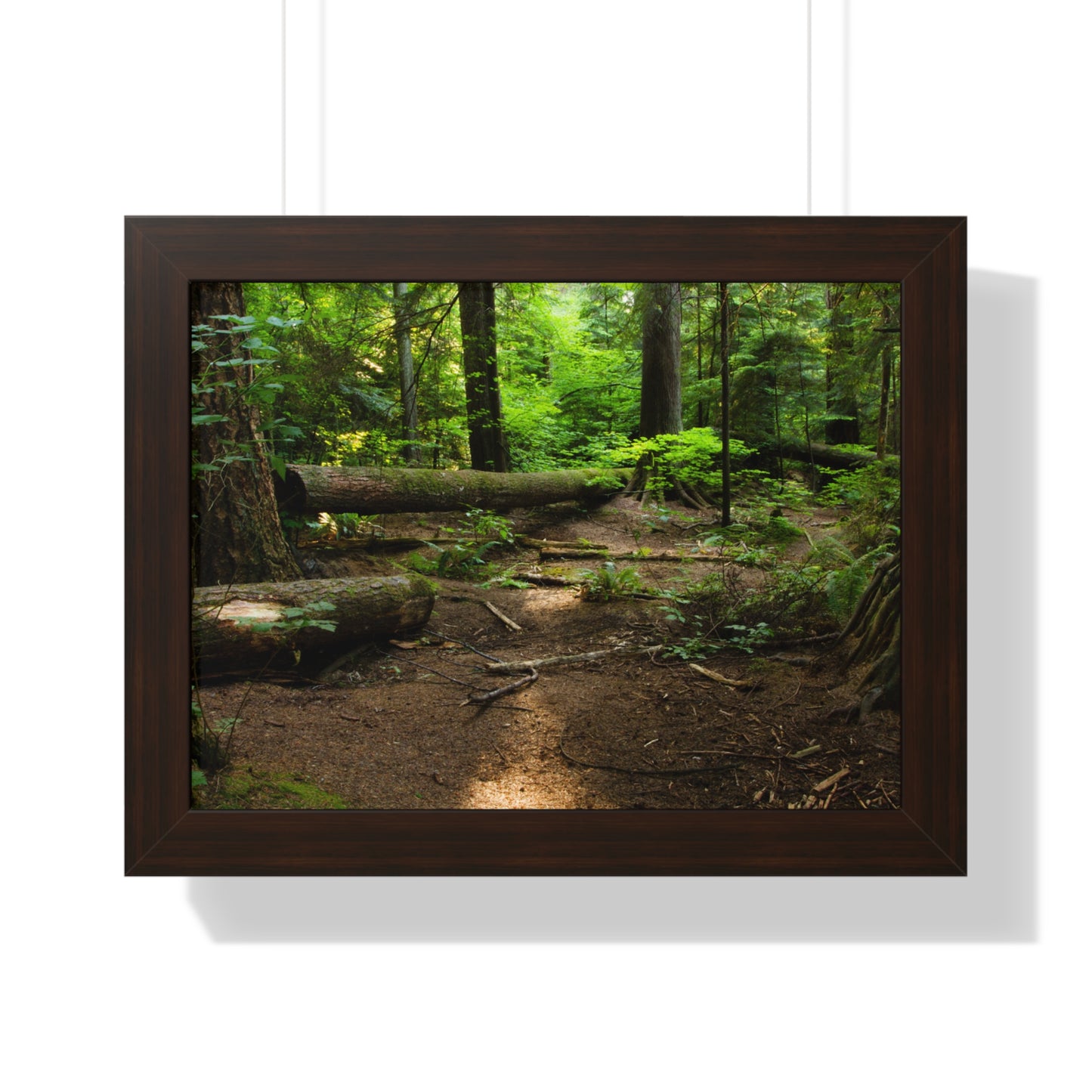 "Fallen Tree" Framed Horizontal Poster