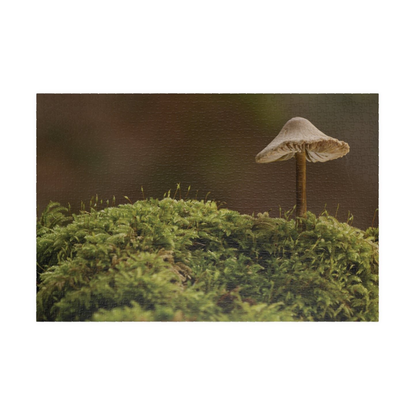 Horizontal "Mushroom on Mossy Mound" Puzzle (110, 252, 520, 1014-piece)