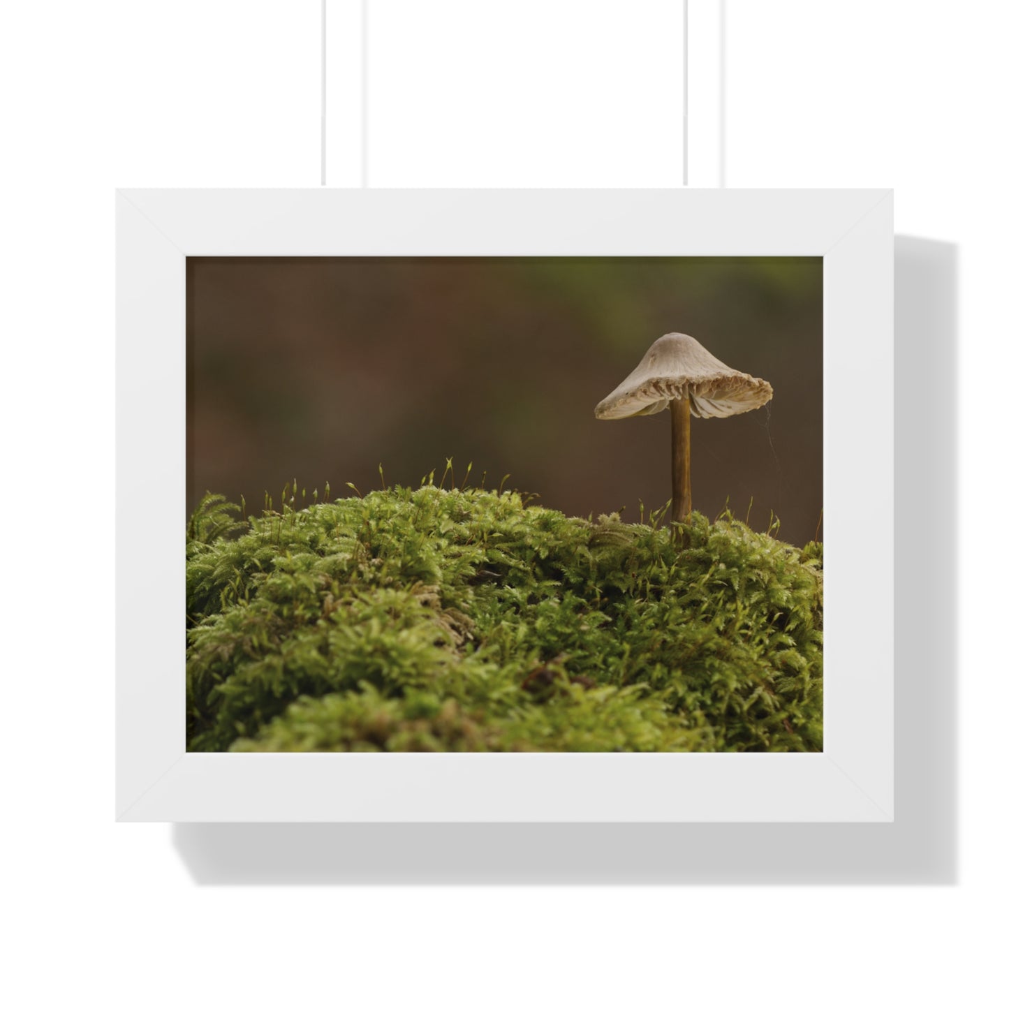 "Mushroom on Mossy Mound" Framed Horizontal Poster