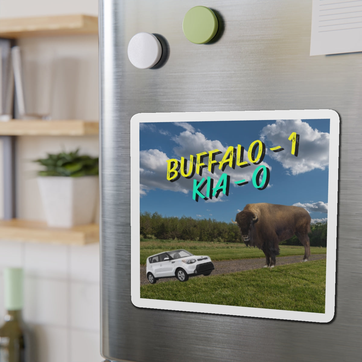 "Buffalo vs Kia" Die-Cut Magnets