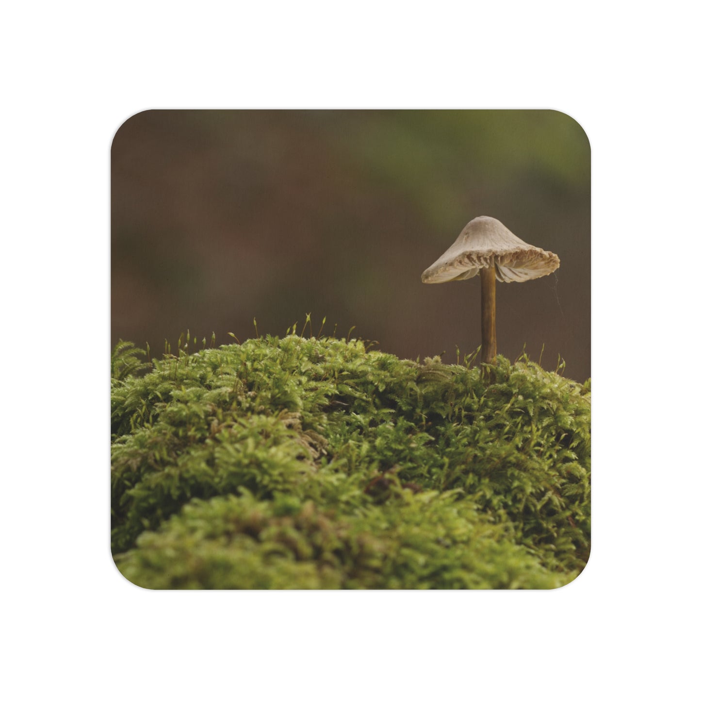 "Mushroom On Mossy Mound" Coasters (50, 100 pcs)