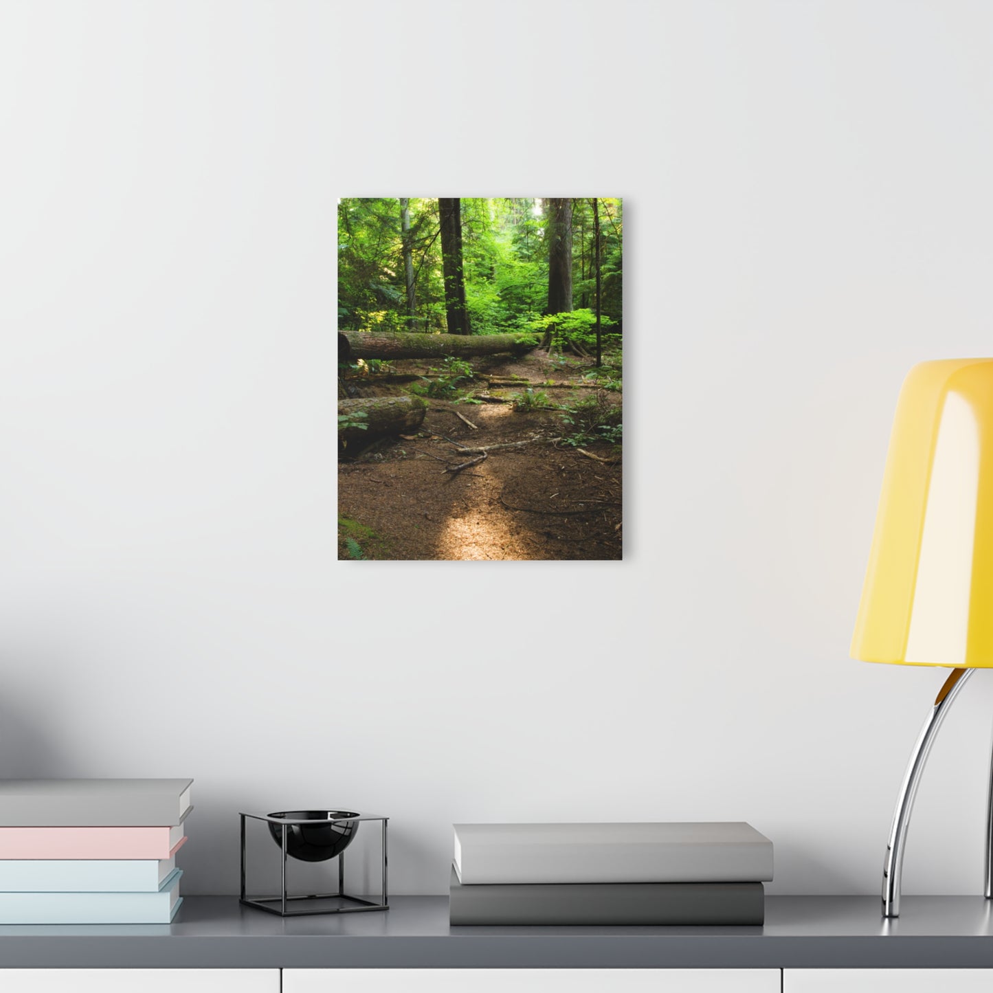 “Fallen Tree” Acrylic Prints (French Cleat Hanging)