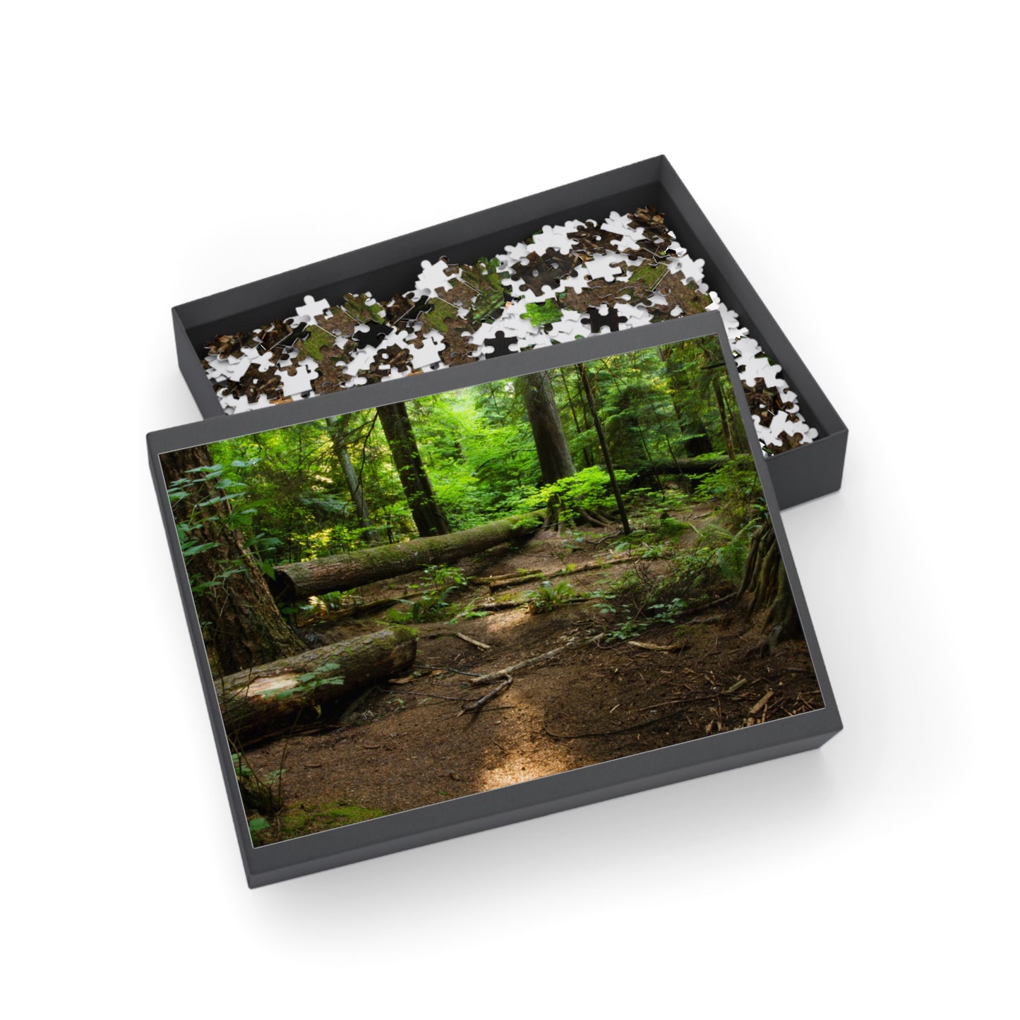 "Fallen Tree" Puzzle (96, 252, 500, 1000-Piece)