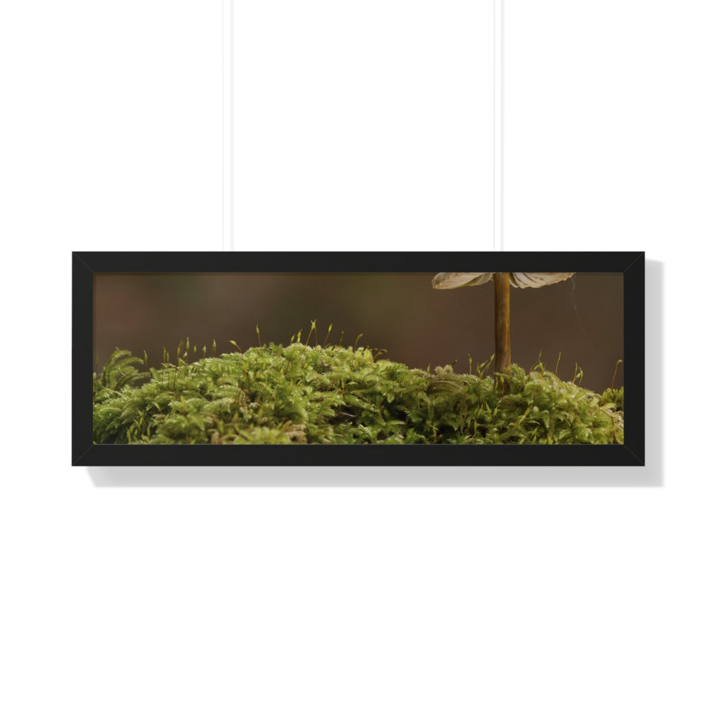 "Mushroom on Mossy Mound" Framed Horizontal Poster